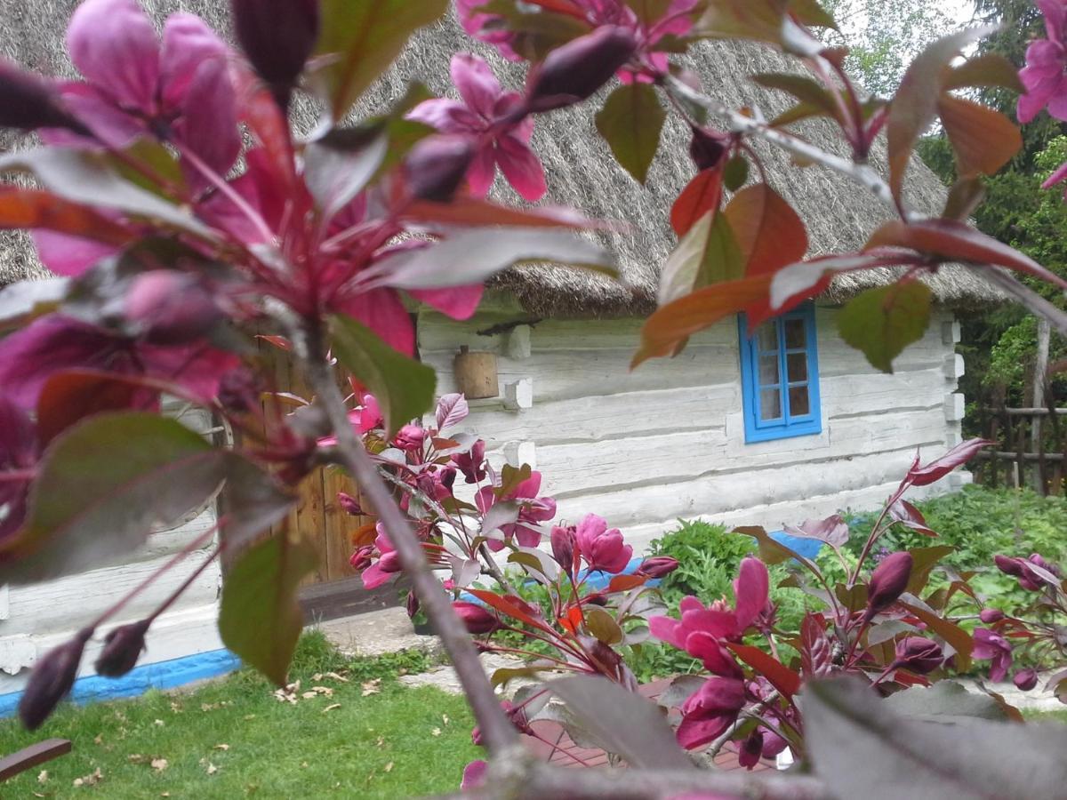 Dzikie Roztocze - Stara Chata Krasnobród Dış mekan fotoğraf